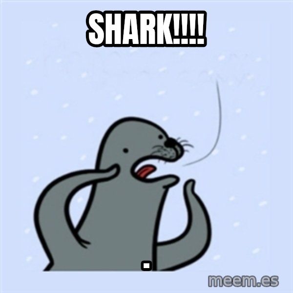 gay seal meme: Shark!!!! / .