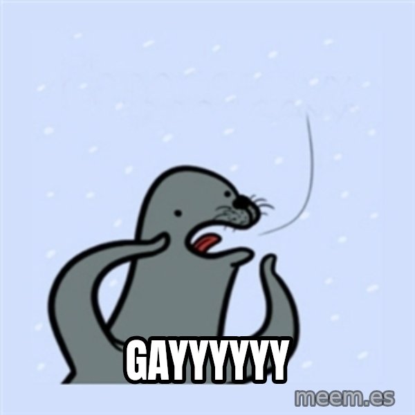 gay seal meme: Gayyyyyy