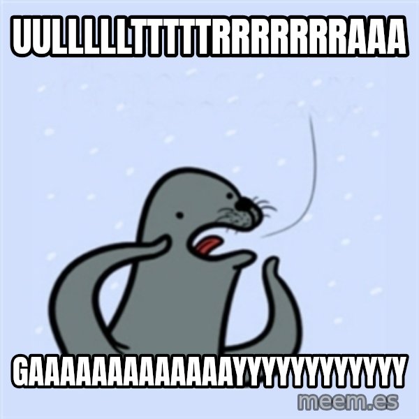 gay seal meme: uullllltttttrrrrrrraaa / GAAaaaaAAAAAAAYYYYYYYYYYYY