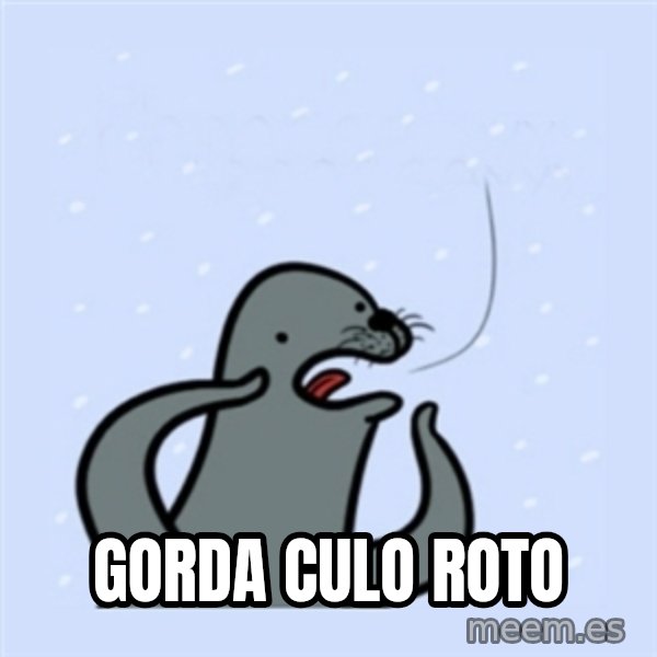 gay seal meme: gorda culo roto