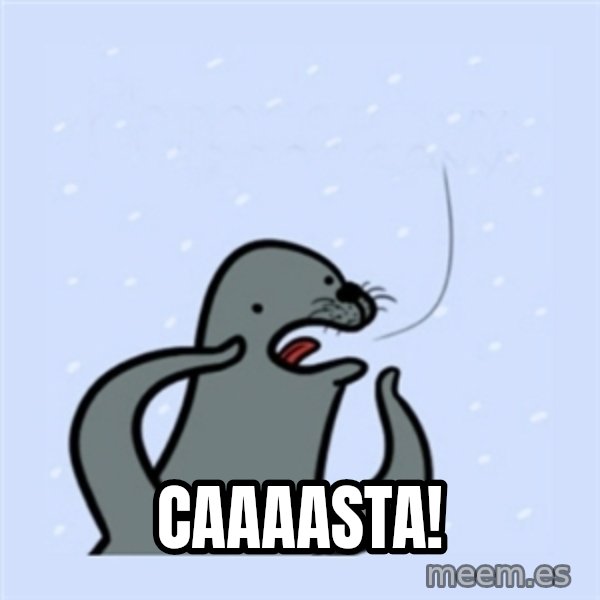 gay seal meme: Caaaasta!